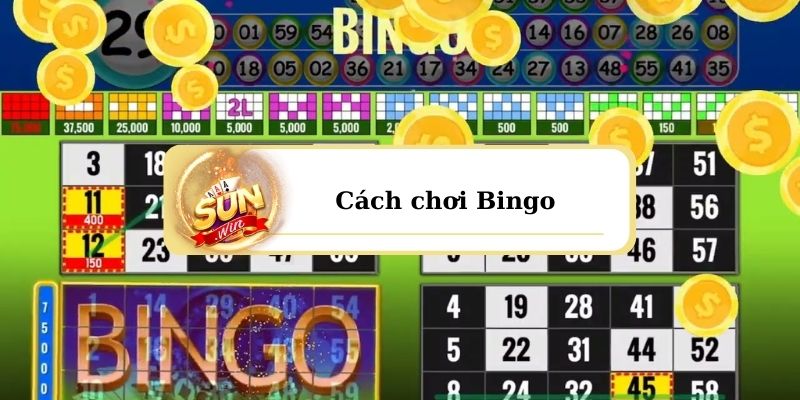 Cách chơi Bingo