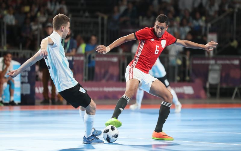 Domestic Futsal Leagues